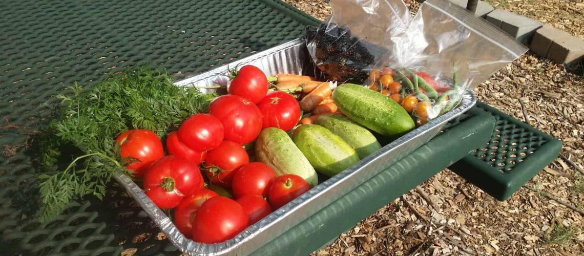 Garden Harvest 7-26-2018