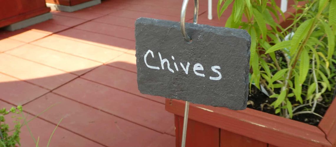 Several slate plant markers labeled for the herb garden